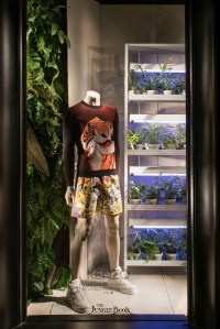 Bergdorf Goodman's window display for Kenzo x The Jungle Book.