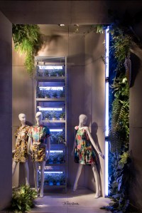 Bergdorf Goodman's window display for Kenzo x The Jungle Book.