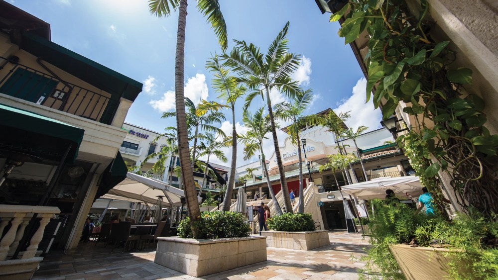 Coconut Grove's Retail History
