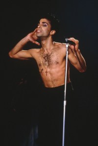 Prince, 1984.