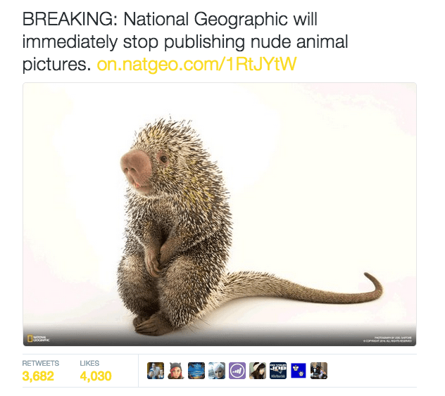 The Media Delights in April Fool's Jokes