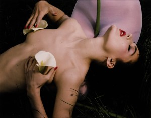 ‘Mannequin aux Fleurs’, 1984-85 by Guy Bourdin