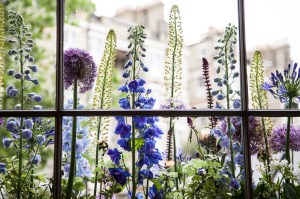 Belgravia in Bloom: Retailers celebrate the annual Chelsea Flower Show in London