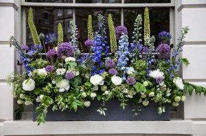 Belgravia in Bloom: Retailers celebrate the annual Chelsea Flower Show in London