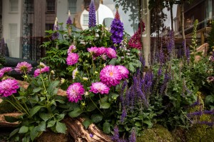 Belgravia in Bloom: Retailers celebrate the annual Chelsea Flower Show in London