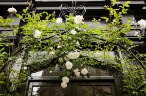 Belgravia in Bloom: Retailers celebrate the annual Chelsea Flower Show in London