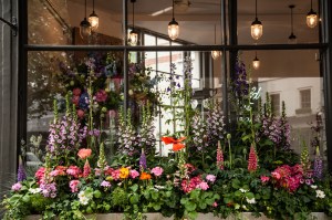 Belgravia in Bloom: Retailers celebrate the annual Chelsea Flower Show in London