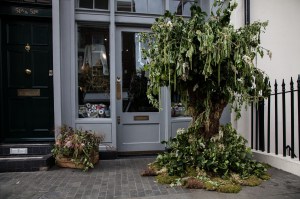 Belgravia in Bloom: Retailers celebrate the annual Chelsea Flower Show in London