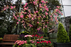 Belgravia in Bloom: Retailers celebrate the annual Chelsea Flower Show in London