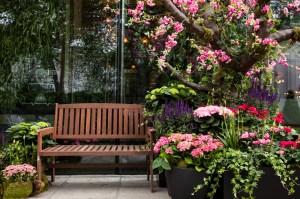 Belgravia in Bloom: Retailers celebrate the annual Chelsea Flower Show in London