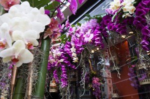 Belgravia in Bloom: Retailers celebrate the annual Chelsea Flower Show in London