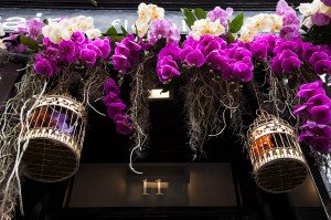 Belgravia in Bloom: Retailers celebrate the annual Chelsea Flower Show in London