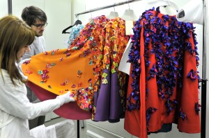 Bougainvillier capes
