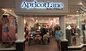 Apparel Franchises Hitting Their Stride