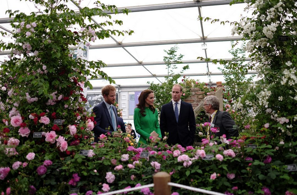Duke of Cambridge Duchess of Cambridge Prince Harry