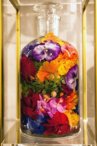 The Fendi pop-up at Selfridges