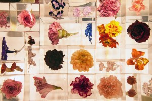 The Fendi pop-up at Selfridges