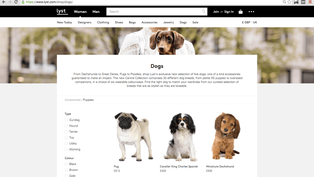 Lyst Canine Collection