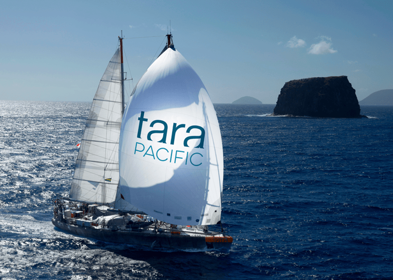 Designer agnès b.'s Research Schooner Will Dock in Miami En Route to Asia Pacific
