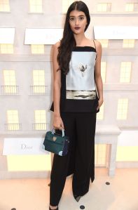 Neelam Gill house of dior cocktail party london