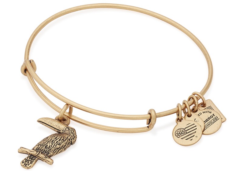 A bracelet from Alex and Ani