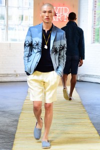 David Hart Men's RTW Spring 2017