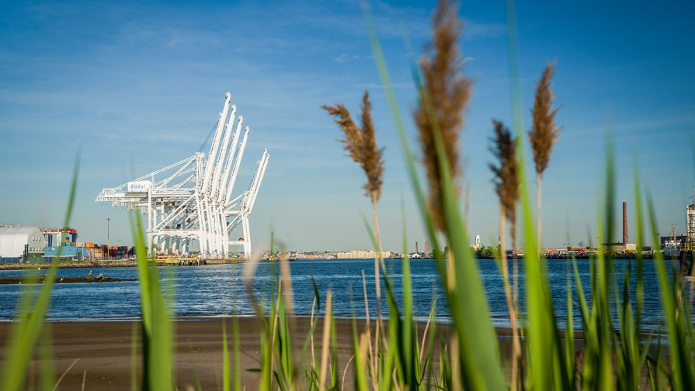 The Port of Bayonne