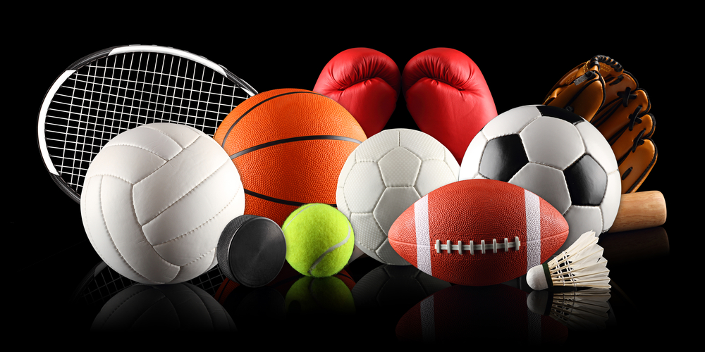 Dick's Sporting Goods Hits Home Run in Second Quarter