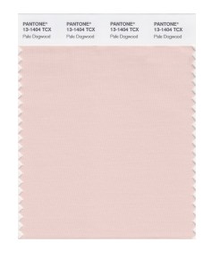 Pantone Top 10 Spring 2017 Colors Counts on New York Fashion Week for Inspiration