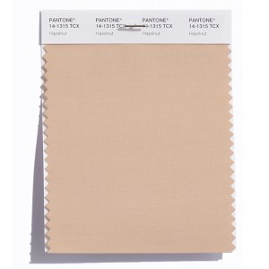 Pantone Top 10 Spring 2017 Colors Counts on New York Fashion Week for Inspiration