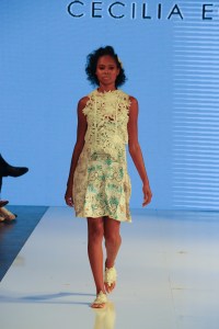 Cecilia Echenique Spring RTW 2017