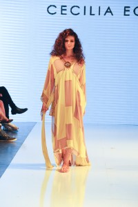 Cecilia Echenique Spring RTW 2017
