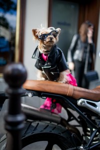 Street style at Paris Fashion Week Spring 2017