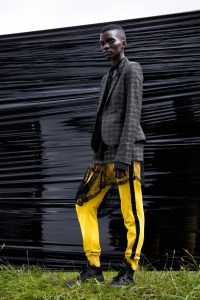 A.F. Vandevorst RTW Spring 2017