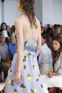 Details at Altuzarra RTW Spring 2017