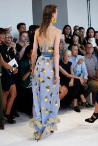 Details at Altuzarra RTW Spring 2017