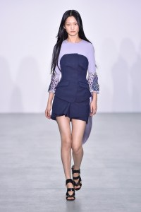 Antonio Berardi RTW Spring 2017
