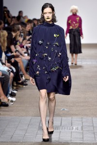 AV Robertson RTW Spring 2017