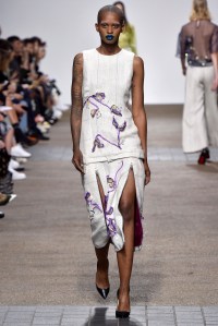 AV Robertson RTW Spring 2017