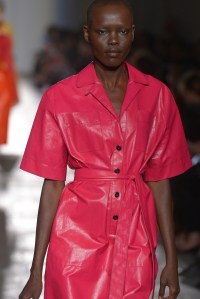 Bottega Veneta RTW Spring 2017