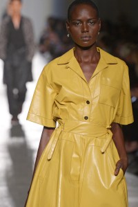 Bottega Veneta RTW Spring 2017