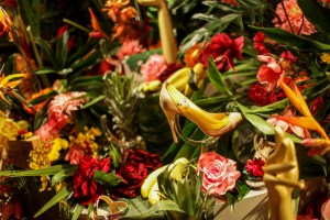 Backstage at Charlotte Olympia RTW Spring 2017