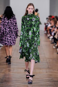 Christian Wijnants RTW Spring 2017
