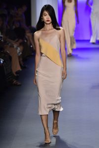 Cushnie et Ochs RTW Spring 2017