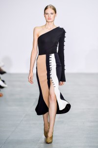 David Koma RTW Spring 2017