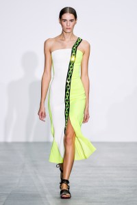 David Koma RTW Spring 2017