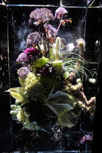 The Set at Dries Van Noten Spring 2017