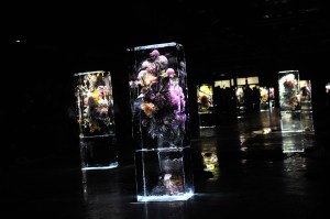 The Set at Dries Van Noten Spring 2017