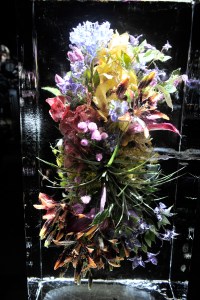 The Set at Dries Van Noten Spring 2017