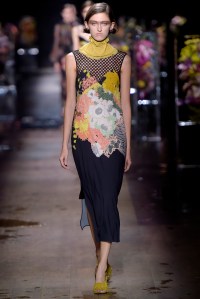 Dries Van Noten RTW Spring 2017